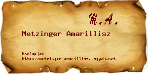 Metzinger Amarillisz névjegykártya